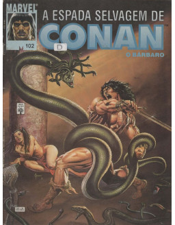 A ESPADA SELVAGEM DE CONAN 102