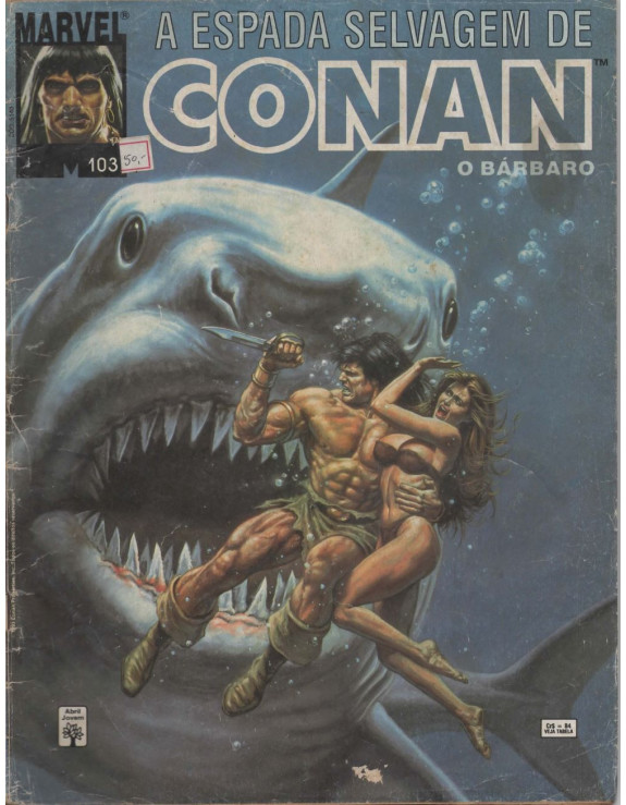 A ESPADA SELVAGEM DE CONAN 103