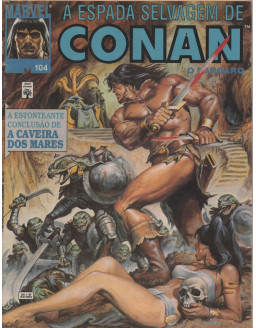 A ESPADA SELVAGEM DE CONAN 104