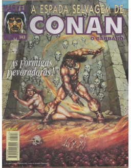 A ESPADA SELVAGEM DE CONAN 143