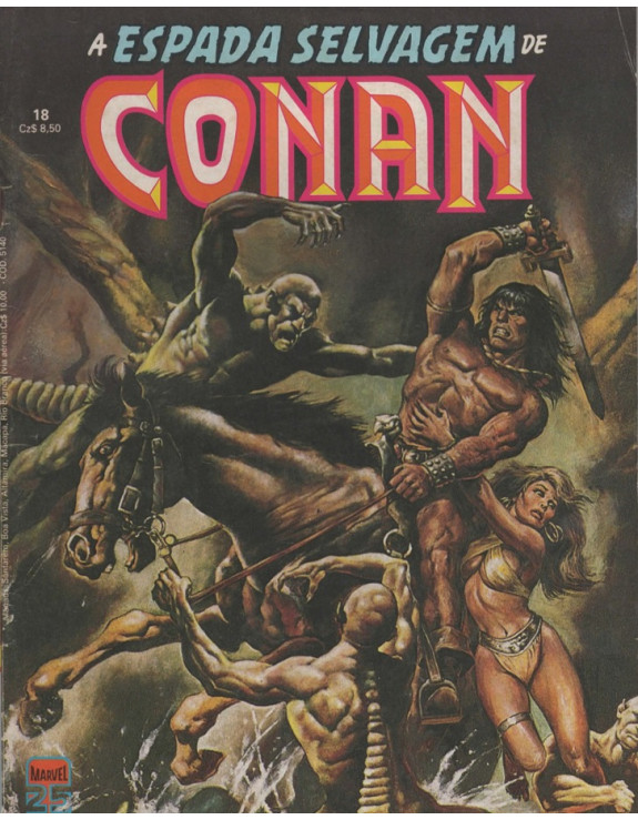 A ESPADA SELVAGEM DE CONAN 018
