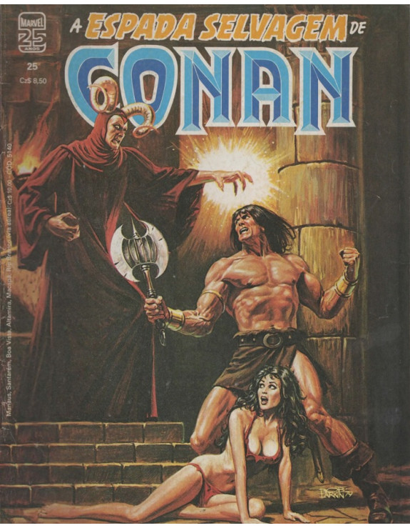 A ESPADA SELVAGEM DE CONAN 025