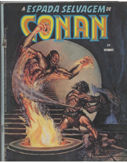 A ESPADA SELVAGEM DE CONAN 028