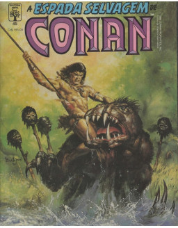 A ESPADA SELVAGEM DE CONAN 045