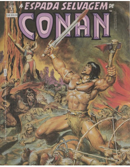 A ESPADA SELVAGEM DE CONAN 048
