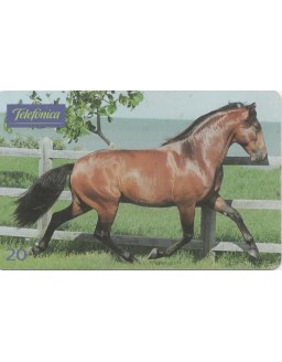 SERIE CAVALOS - ANDALUZ
