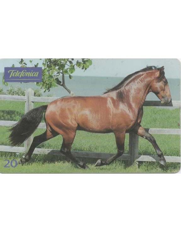 SERIE CAVALOS - ANDALUZ