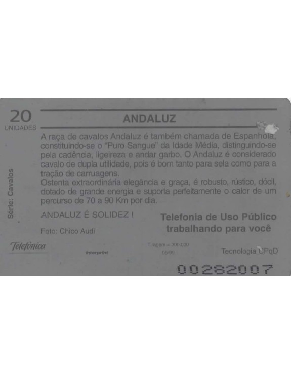 SERIE CAVALOS - ANDALUZ