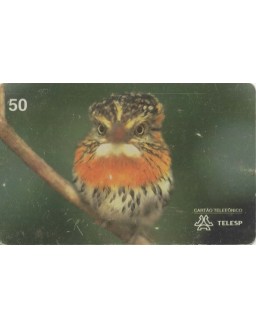 AVES DO BRASIL - RAPAZINHO DOS VELHOS 