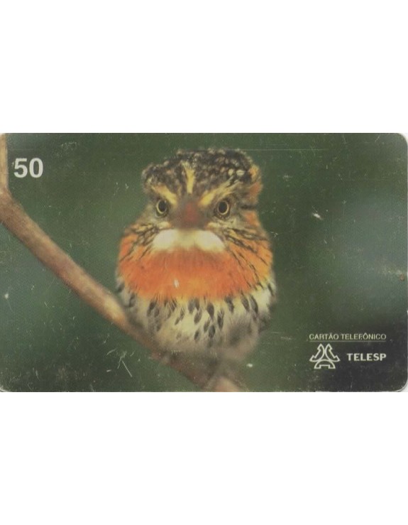 AVES DO BRASIL - RAPAZINHO DOS VELHOS 