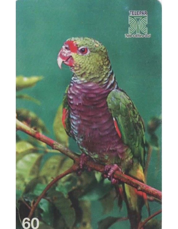 AVES AMEAÇADAS DE EXTINÇÃO NO PARANA 01/14