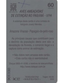 AVES AMEACADAS DE EXTINÇAO 01/14 - PAPAGAIO DO PEITO ROXO