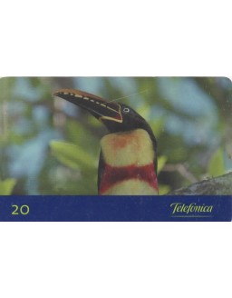 AVES DO BRASIL - ARAÇARI CASTANHO