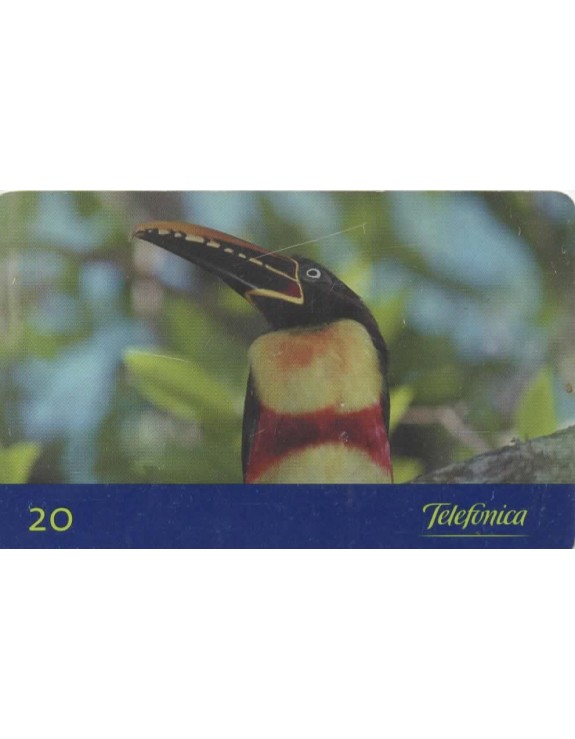 AVES DO BRASIL - ARAÇARI CASTANHO