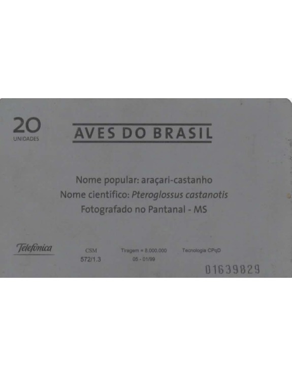 AVES DO BRASIL - ARAÇARI CASTANHO