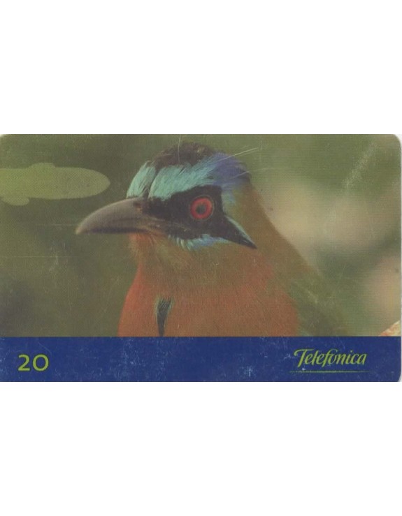 AVES DO BRASIL - JURUVA - MOMOTUS MOMOTA