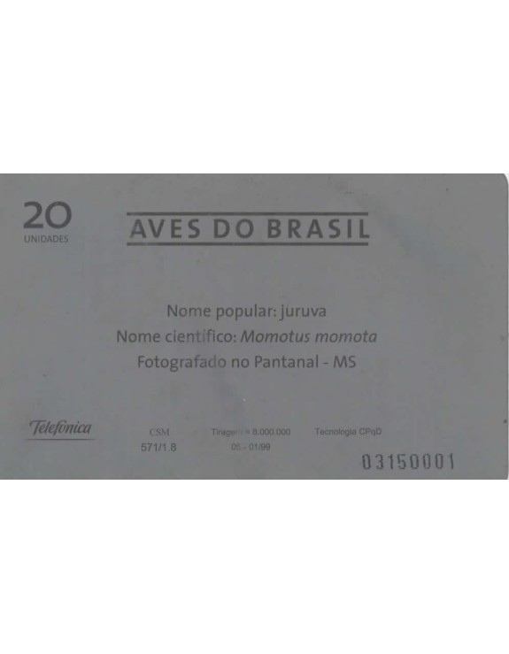 AVES DO BRASIL - JURUVA - MOMOTUS MOMOTA
