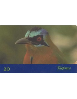 AVES DO BRASIL - JURUVA - MOMOTUS MOMOTA
