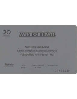 AVES DO BRASIL - JURUVA - MOMOTUS MOMOTA