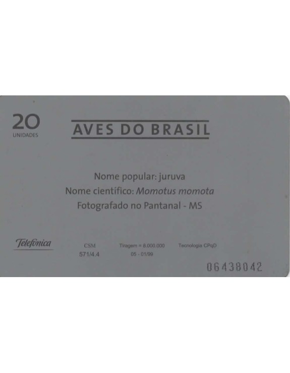 AVES DO BRASIL - JURUVA - MOMOTUS MOMOTA