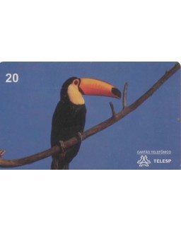 AVES DO BRASIL - TUCANUÇU