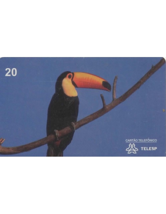 AVES DO BRASIL - TUCANUÇU