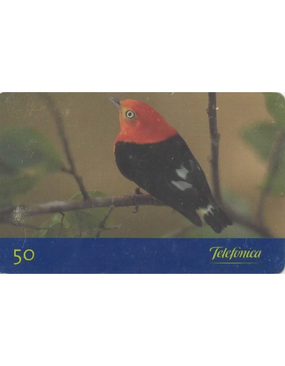 AVES DO BRASIL - UIRAPURU LARANJA