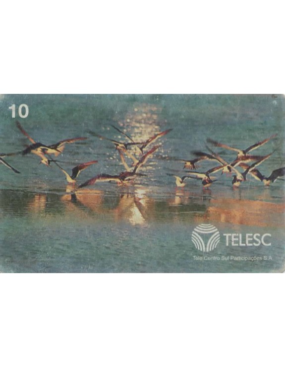 AVES PONTA DAS CANAS - FLORIANOPOLIS - SC - TELESC