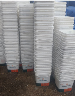BALDES DE PLASTICO DE 2O LITROS R$ 4,00