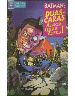 BATMAN DUAS CARAS ATACA DUAS VEZES LIVRO 1 PARTE 2