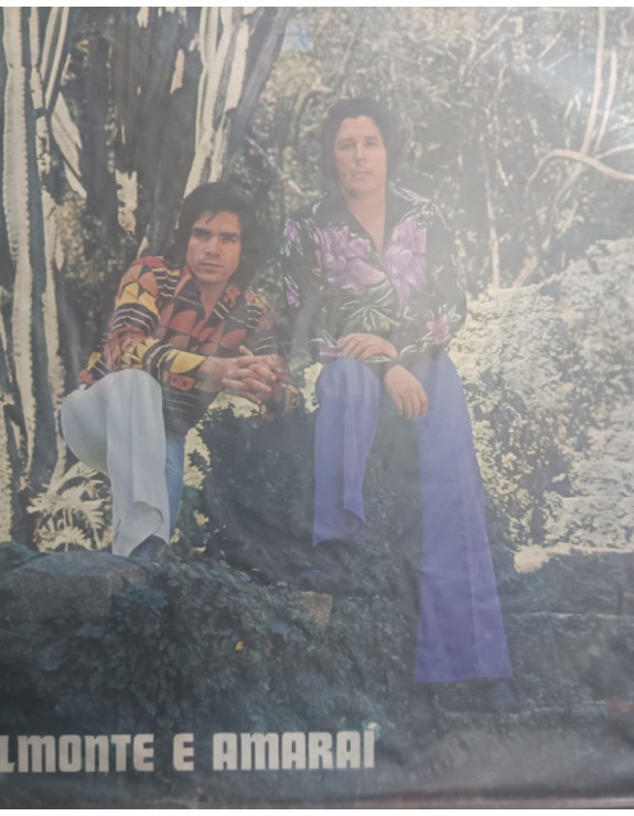 DELMONTE E AMARAI