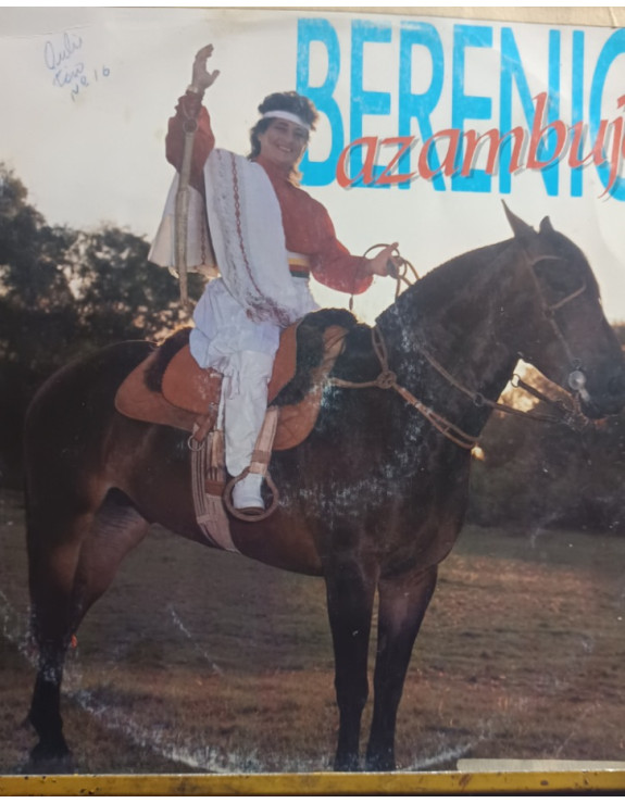 BERENICE AZAMBUJA