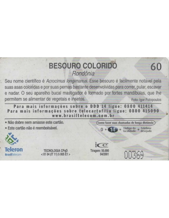 BESOURO COLORIDO - RONDONIA