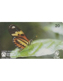 CTBC - SERIE MATA ATLANTICA - BORBOLETA LARANJA
