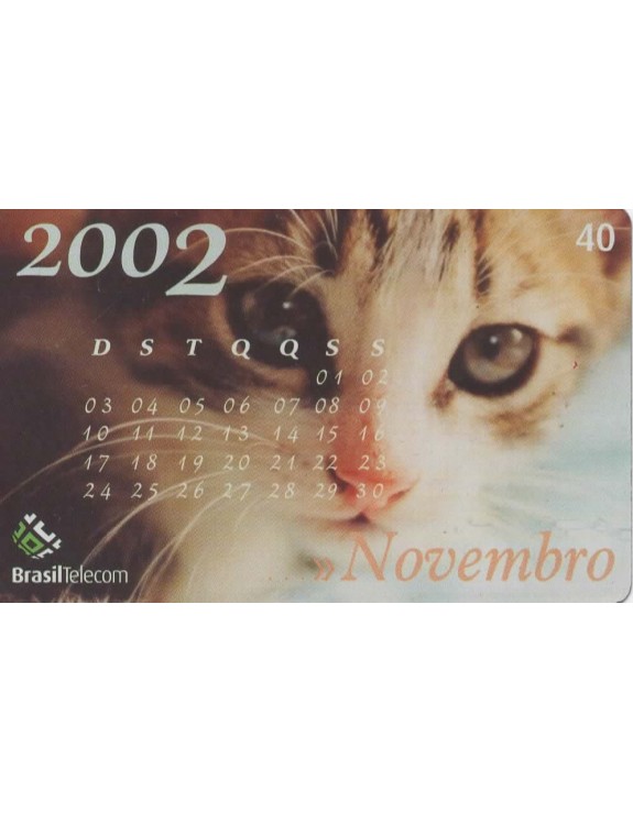 SERIE CALENDARIO 2002 - 11 NOVEMBRO