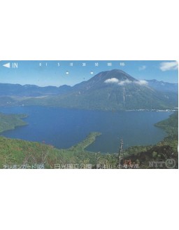 CARTAO TELEFONICO JAPONES - NTT - PARQUE NACIONAL DE NIKKO
