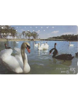 CARTAO TELEFONICO JAPONES - NTT - LAGO DOS CISNES