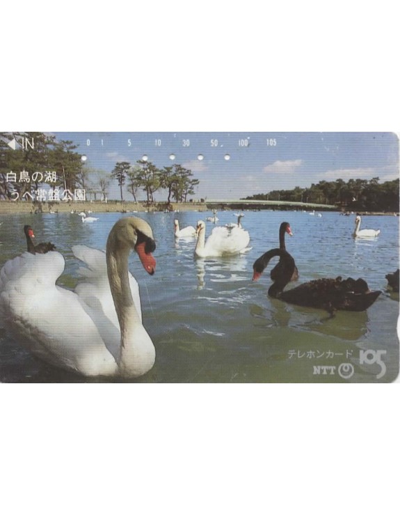 CARTAO TELEFONICO JAPONES - NTT - LAGO DOS CISNES