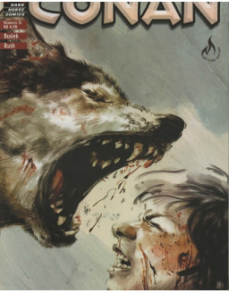CONAN O CIMERIO 15