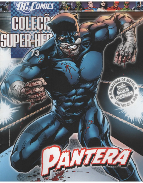DC COMICS COLEÇAO SUPER HEROIS 073 PANTERA