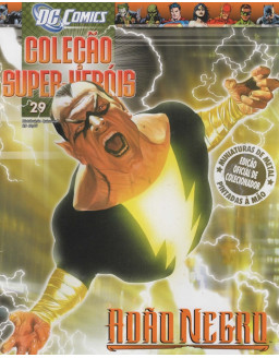 DC COMICS COLEÇAO SUPER HEROIS 029 ADAO NEGRO
