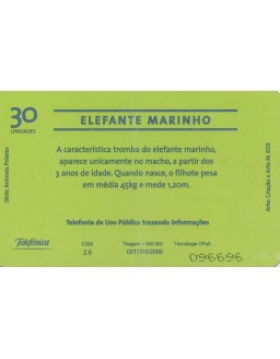 SERIE ANIMAIS POLARES - ELEFANTE MARINHO