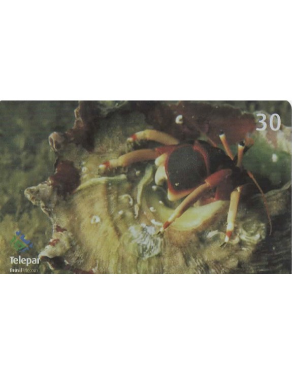 SERIE CURIOSIDADES 04/10 - ERMITAO - CALCINUS SP 