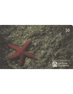 ANO INTERNACIONAL DOS OCEANOS - 1998 - ESTRELA DO MAR