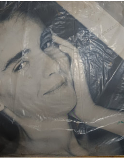 EUGENIIA MELO E CASTRO