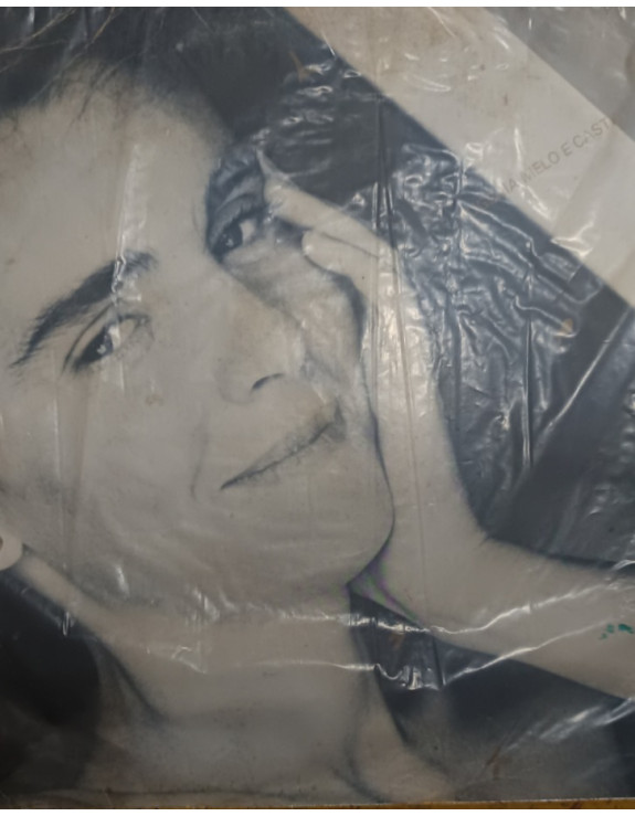 EUGENIIA MELO E CASTRO