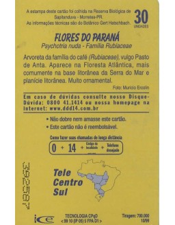 FLORES DO PARANA - FAMILIA RUBIACEAE - PSYCHOTRIA NUDA