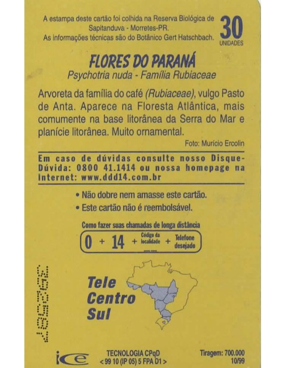 FLORES DO PARANA - FAMILIA RUBIACEAE - PSYCHOTRIA NUDA