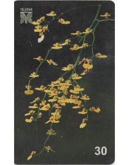 FLORES DO PARANA - BOTAO DE OURO - ORQUIDEA 
