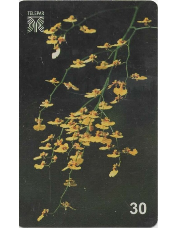 FLORES DO PARANA - BOTAO DE OURO - ORQUIDEA 